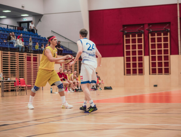 Zäher Saisonstart – Amstetten Falcons vs BBC Tulln Herren LL 73:58